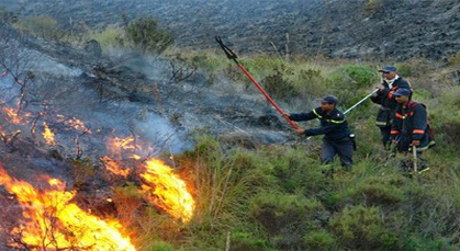 السيطرة على حريق شب في غابة قرب الحسيمة السيطرة على حريق شب في غابة قرب الحسيمة