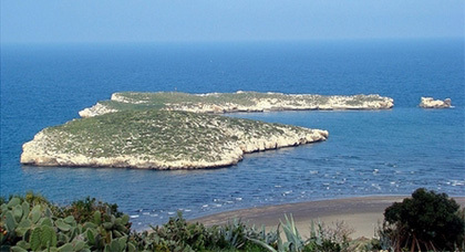 البحرية الإسبانية تطوق الأفارقة في جزيرة "اصفيحة" قرب الحسيمة البحرية الإسبانية تطوق الأفارقة في جزيرة "اصفيحة" قرب الحسيمة