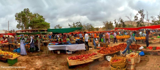 بعد طول انتظار.. هذه هي الأسواق التي ستفتح أبوابها في الناظور والدريوش بعد طول انتظار.. هذه هي الأسواق التي ستفتح أبوابها في الناظور والدريوش