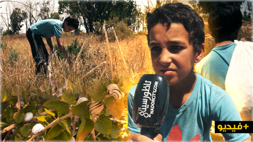 محمد..  بائع "بابوش" في الـ11 من عمره يناشد مساعدته في رعاية والديه محمد..  بائع "بابوش" في الـ11 من عمره يناشد مساعدته في رعاية والديه