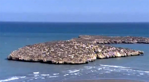 قوات الأمن الإسبانية والمغربية تقدم على ترحيل 81 مهاجرا سريا اقتحموا جزيرة "الصفيحة" المحتلة قوات الأمن الإسبانية والمغربية تقدم على ترحيل 81 مهاجرا سريا اقتحموا جزيرة "الصفيحة" المحتلة