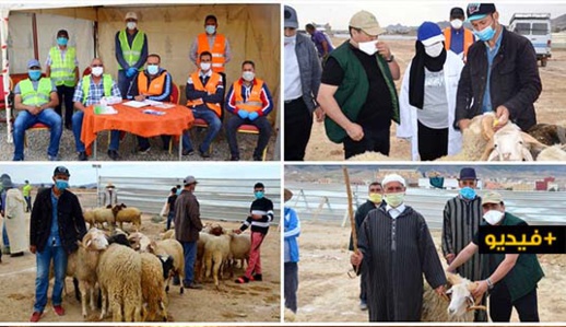 روبورتاج.. سلطات الدريوش تفتتح سوق المواشي بامطالسة وسط إجراءات صارمة لمواجهة تفشي كورونا روبورتاج.. سلطات الدريوش تفتتح سوق المواشي بامطالسة وسط إجراءات صارمة لمواجهة تفشي كورونا