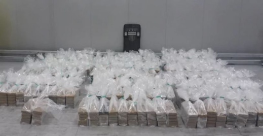 روتردام.. ضبط 2020 كيلوغراما من الكوكايين بقيمة 151 مليون يورو روتردام.. ضبط 2020 كيلوغراما من الكوكايين بقيمة 151 مليون يورو