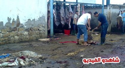 رغم الإعلان عن افتتاحها.. أبواب مجزرة الحسيمة الجديدة مغلقة إلى أجل غير مسمى رغم الإعلان عن افتتاحها.. أبواب مجزرة الحسيمة الجديدة مغلقة إلى أجل غير مسمى