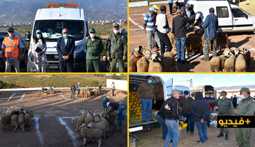 الدريوش.. سوق خميس تمسمان يستأنف نشاطه التجاري وسط اتخاذ مجموعة من الإجراءات الاحترازية  الدريوش.. سوق خميس تمسمان يستأنف نشاطه التجاري وسط اتخاذ مجموعة من الإجراءات الاحترازية