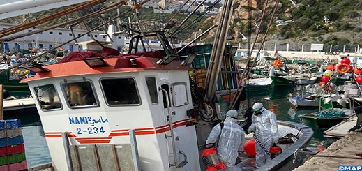 الحسيمة... قطاع الصيد البحري يواصل الاشتغال بانتظام في احترام تام لتدابير الوقاية من الجائحة