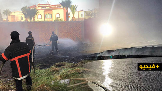 متشردون يضرمون النار في "أرض مهجورة" بمركز مدينة الناظور متشردون يضرمون النار في "أرض مهجورة" بمركز مدينة الناظور