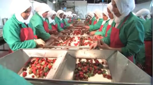 ارتفاع حصيلة بؤرة "للا ميمونة" إلى 800 مصاب ومصادر تكشف الأسباب الحقيقية ارتفاع حصيلة بؤرة "للا ميمونة" إلى 800 مصاب ومصادر تكشف الأسباب الحقيقية