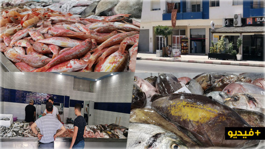 مجموعة "fresh fish" المتخصصة في الأسماك تفتتح محلا جديدا بسلوان العمران مجموعة "fresh fish" المتخصصة في الأسماك تفتتح محلا جديدا بسلوان العمران