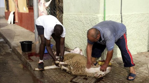 حكومة مليلية تعلن إقامة عيد الأضحى دون صلاة جماعية وترفع عدد خيم ذبح الأضاحي حكومة مليلية تعلن إقامة عيد الأضحى دون صلاة جماعية وترفع عدد خيم ذبح الأضاحي