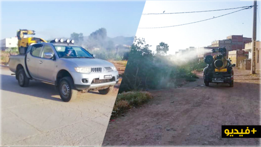 جماعة الناظور ترش المبيدات لمحاربة الناموس جماعة الناظور ترش المبيدات لمحاربة الناموس