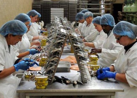 اكتشاف أزيد من 170 إصابة في بؤر مصنع رونو ومعمل لتصبير السمك  اكتشاف أزيد من 170 إصابة في بؤر مصنع رونو ومعمل لتصبير السمك