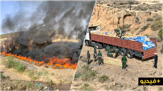 شاهدوا.. جمارك الناظور تُتلف 25 طن من المخدرات بقيمة 243 مليون درهم شاهدوا.. جمارك الناظور تُتلف 25 طن من المخدرات بقيمة 243 مليون درهم