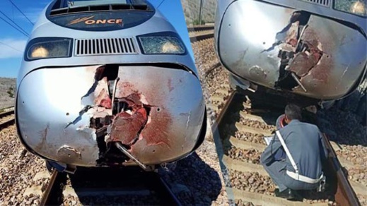 بالصور.. القطار فائق السرعة يحصد أول ضحاياه بعد كورونا ويحوّل جثة شخص إلى أشلاء بالصور.. القطار فائق السرعة يحصد أول ضحاياه بعد كورونا ويحوّل جثة شخص إلى أشلاء