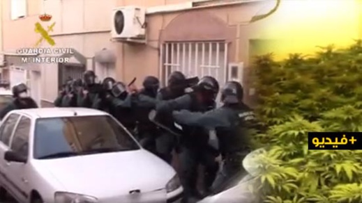 حجز طن و400 كلغ من الحشيش وسيارت مسروقة وتوقيف 9 أشخاص خلال تفكيك شبكة إجرامية بمليلية
