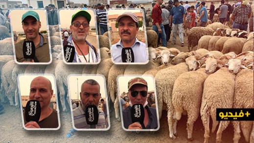 إنخفاض كبير في أثمنة أضاحي العيد بالسوق الاسبوعي بني وكيل و "الكسابة" يعزون السبب الى الجائحة إنخفاض كبير في أثمنة أضاحي العيد بالسوق الاسبوعي بني وكيل و "الكسابة" يعزون السبب الى الجائحة