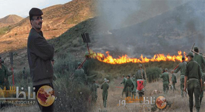 النيران تلتهم أزيد من 60 هكتارا من الغطاء الغابوي بمنطقة ختالة أولاد داوود ازخانين
