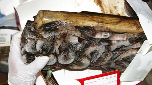 الصين توقف وارداتها من "الغامبا" من شركات إكوادورية بعد ظهور كورونا في العينات الصين توقف وارداتها من "الغامبا" من شركات إكوادورية بعد ظهور كورونا في العينات