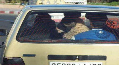 عيد الأضحى المبارك يوم الجمعة 26 أكتوبر الجاري عيد الأضحى المبارك يوم الجمعة 26 أكتوبر الجاري