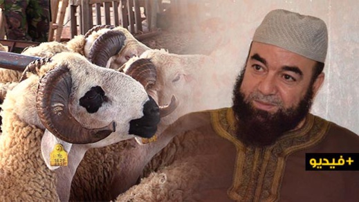 الشيخ نجيب الزروالي.. هل الأفضل الأضحية أم الصدقة؟