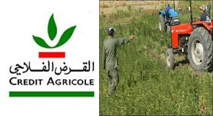 اختلاس 143 مليونا من إعانات الفلاحين ببركان وجنايات فاس تنظر في الملف اختلاس 143 مليونا من إعانات الفلاحين ببركان وجنايات فاس تنظر في الملف