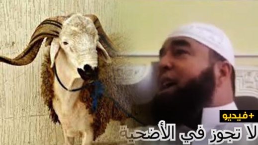 الشيخ نجيب الزروالي.. أربع لا تجوز في الأضحية