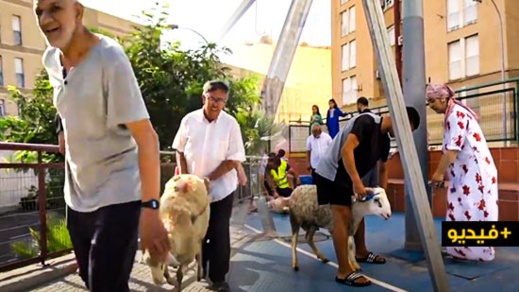 شاهدوا.. هكذا تستعد مليلية المحتلة لعيد الأضحى في ظروف استثنائية شاهدوا.. هكذا تستعد مليلية المحتلة لعيد الأضحى في ظروف استثنائية