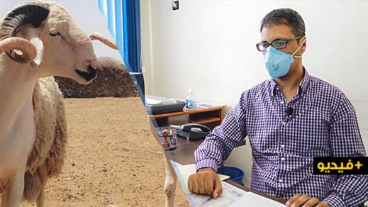 الدكتور العشاش يقدم نصائح مهمة حول الطريقة الصحيحة لذبح الأضحية وتخزين اللحم الدكتور العشاش يقدم نصائح مهمة حول الطريقة الصحيحة لذبح الأضحية وتخزين اللحم