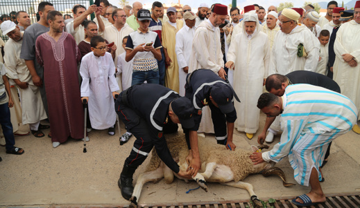 المجلس العلمي بالناظور.. هذا توقيت صلاة العيد ونحر الأضاحي المجلس العلمي بالناظور.. هذا توقيت صلاة العيد ونحر الأضاحي