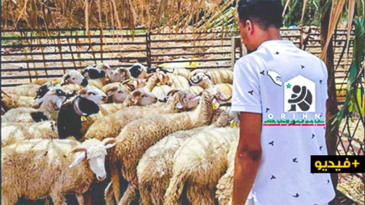 للسنة الثالثة على التوالي.. منظمة رامي توزع أضاحي العيد على المحتاجين وتشكر المحسنين المساهمين للسنة الثالثة على التوالي.. منظمة رامي توزع أضاحي العيد على المحتاجين وتشكر المحسنين المساهمين