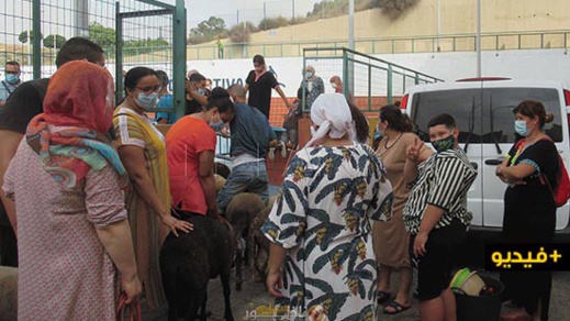 فيديو.. جائحة كورونا ترخي بظلالها على أجواء ذبح الأضاحي بمليلية فيديو.. جائحة كورونا ترخي بظلالها على أجواء ذبح الأضاحي بمليلية
