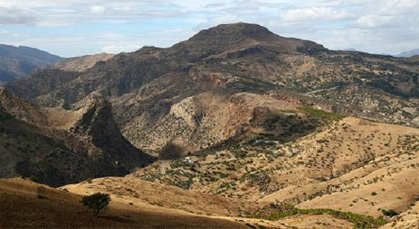 الكشف عن خلية كانت تخطط لإقامة معسكر بجبال الريف الكشف عن خلية كانت تخطط لإقامة معسكر بجبال الريف