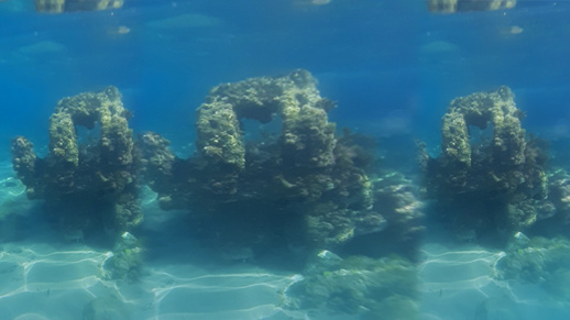 الناظور.. اكتشاف بحريّ مُهم في سواحل "أيت شيشار" الناظور.. اكتشاف بحريّ مُهم في سواحل "أيت شيشار"