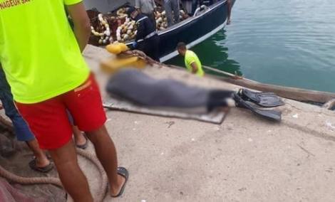 الحسيمة.. صيادون يعثرون على جثة غطاس "بدون رأس" الحسيمة.. صيادون يعثرون على جثة غطاس "بدون رأس"