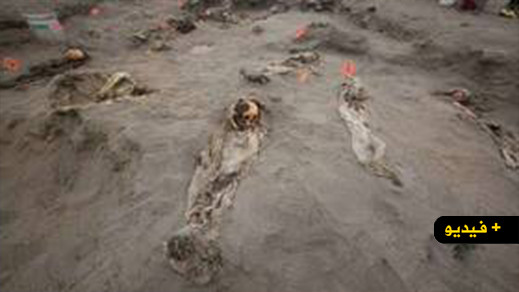 إسبانيا.. اكتشاف "مدينة موتى" كبيرة تضمّ مئات الجثث إسبانيا.. اكتشاف "مدينة موتى" كبيرة تضمّ مئات الجثث