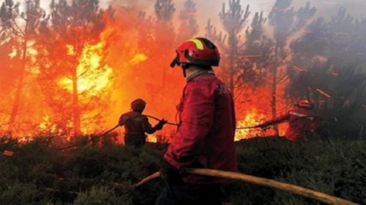 حريق مهول بجبل "تامرسيت" في حاسي بركان ووعورة التضاريس تعقّد مأمورية رجال المطافئ