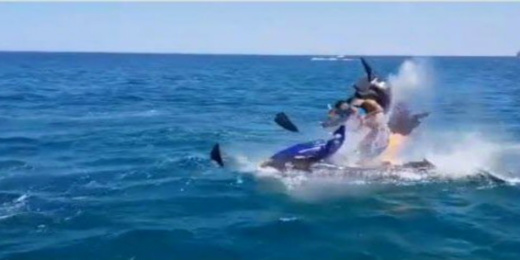 الحرس الإسباني يوقف 7 مهاجرين مغاربة انطلقوا من الحسيمة على متن درّاجات ”جيتسكي” الحرس الإسباني يوقف 7 مهاجرين مغاربة انطلقوا من الحسيمة على متن درّاجات ”جيتسكي”