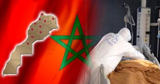 التوزيع الجغرافي لحالات الإصابة بفيروس كورونا خلال 24 ساعة التوزيع الجغرافي لحالات الإصابة بفيروس كورونا خلال 24 ساعة