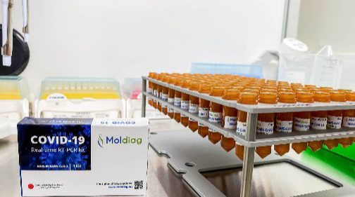 شركة مغربية تشرع في انتاج طقم لتشخبص فيروس كورونا شركة مغربية تشرع في انتاج طقم لتشخبص فيروس كورونا