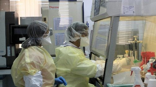 الحسيمة.. 15 إصابة جديدة مؤكدة بفيروس كورونا خلال الـ24 ساعة الأخيرة