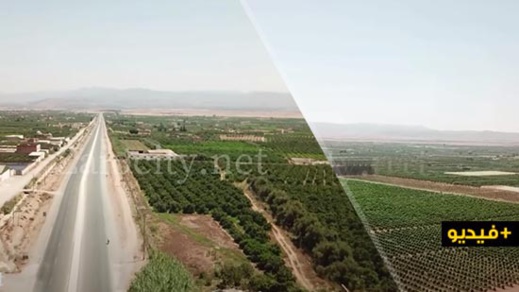 شاهدوا.. تصوير جوي مدهش يبرز جمال وسحر سهل "صبرة" بإقليم الناظور شاهدوا.. تصوير جوي مدهش يبرز جمال وسحر سهل "صبرة" بإقليم الناظور