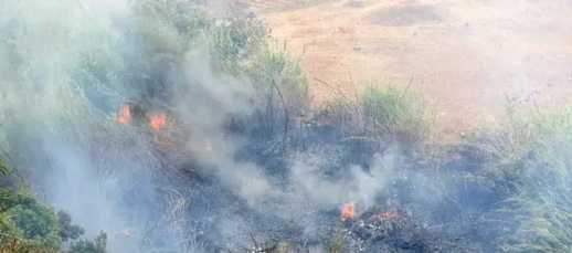 حريق مهول يلتهم مساحة مهمة من الغطاء النباتي ببني شيكر حريق مهول يلتهم مساحة مهمة من الغطاء النباتي ببني شيكر