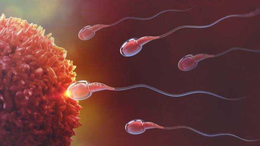 دراسة: الاستعمال المفرط للوسائط الالكترونية يؤثر على جودة الحيوانات المنوية لدى الرجال دراسة: الاستعمال المفرط للوسائط الالكترونية يؤثر على جودة الحيوانات المنوية لدى الرجال