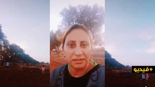 شاهدوا.. سيدة تدفع أبناءها إلى رعي الغنم بسبب التعليم عن بعد شاهدوا.. سيدة تدفع أبناءها إلى رعي الغنم بسبب التعليم عن بعد