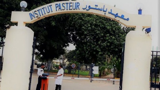 معهد باستور يؤكد استمرارية إجراء تحاليل PCR للكشف عن فيروس كورونا معهد باستور يؤكد استمرارية إجراء تحاليل PCR للكشف عن فيروس كورونا