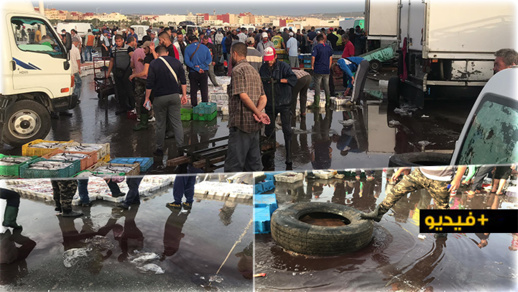 شاهدوا.. كارثة بيئية وصحية في سوق السمك ببني انصار تضع المسؤولين في قفص الاتهام شاهدوا.. كارثة بيئية وصحية في سوق السمك ببني انصار تضع المسؤولين في قفص الاتهام