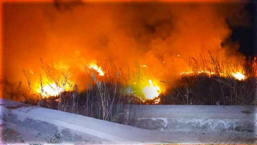 الناظور.. سلطات قرية أركمان تتدخل لإخماد حريق شب في أحراش الطريق المؤدي إلى الشاطئ الناظور.. سلطات قرية أركمان تتدخل لإخماد حريق شب في أحراش الطريق المؤدي إلى الشاطئ