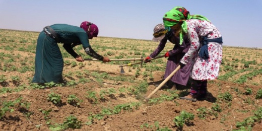 في يومها الوطني.. تقرير رسمي: وضعية المرأة المغربية في سوق الشغل "مقلقة" في يومها الوطني.. تقرير رسمي: وضعية المرأة المغربية في سوق الشغل "مقلقة"