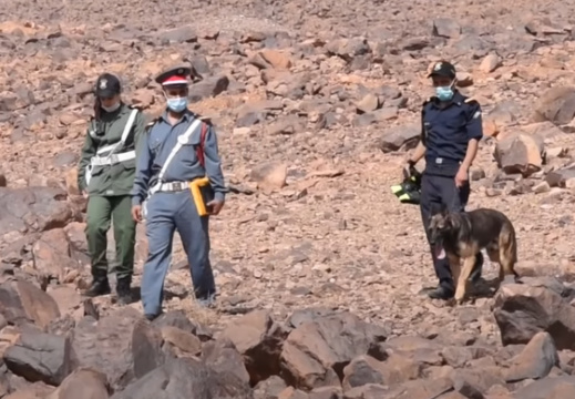 قضية مقتل الطفلة نعيمة.. التحقيقات تكشف تورّط منتخبين ورجال أعمال في الجريمة قضية مقتل الطفلة نعيمة.. التحقيقات تكشف تورّط منتخبين ورجال أعمال في الجريمة