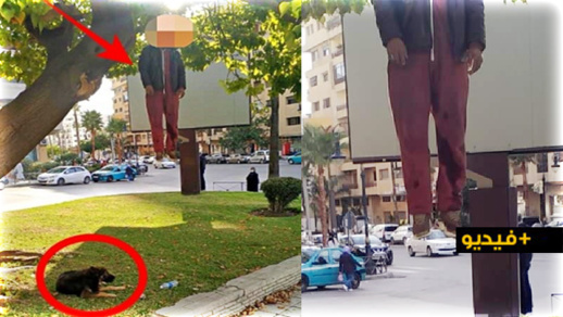 شاهدوا.. انتحار حارس سيارات وسط الشارع العام وكلبه رفض التخلي عنه 